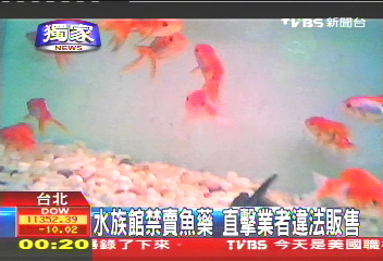 水族館禁賣魚藥 直擊業者違法販售