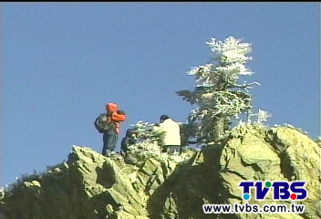 合歡山-6.5度沒下雪 遊客空等失望