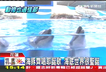 海豚齊唱耶誕歌 海底世界很聖誕