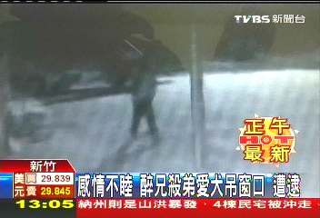 感情不睦！醉兄殺弟愛犬吊窗口　遭逮