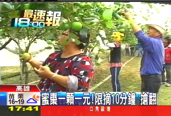 蜜棗一顆1元！　限摘10分鐘搶翻