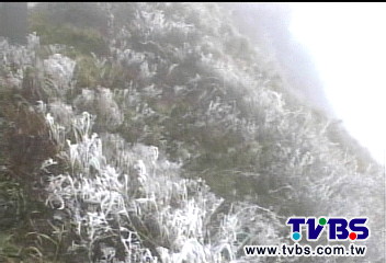 合歡山飄5分鐘雪 「白色耶誕」遊客欣喜