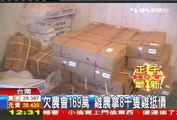 欠農會169萬 雞農拿8千隻雞抵債