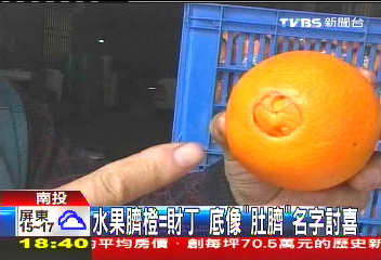 水果臍橙=財丁　底像「肚臍」名字討喜