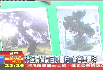 涉盜賣警局百萬龍柏　警官遭羈押