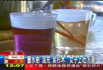 「墨水樹」混充「紫杉木」 女子上吐下瀉!