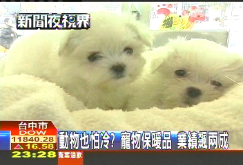 動物也怕冷?寵物保暖品 業績飆兩成