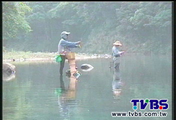 畸形魚有蟲? 週刊報導:水庫疑遭污染
