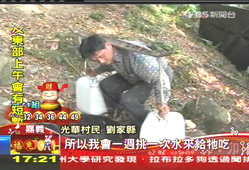 留住藍腹鷴! 週週挑水跋山餵鳥