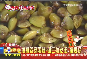 捲褲管穿雨鞋　逛三坑老街「摸蜆仔」