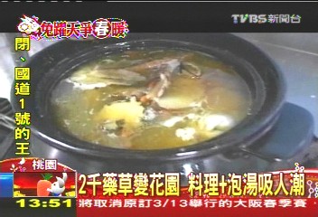 2千藥草變花園 料理+泡湯吸人潮