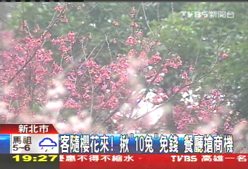 客隨櫻花來！揪「10兔」免錢　餐廳搶商機