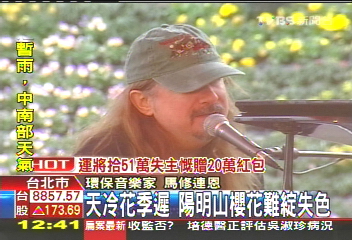 天冷花季遲 陽明山櫻花難綻失色