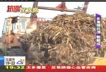 【抗漲全攻略】小麥貴就自己種？　台灣條件難符合