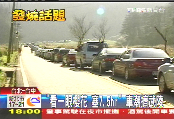 「看一眼櫻花塞7.5hr」　車潮擠武陵