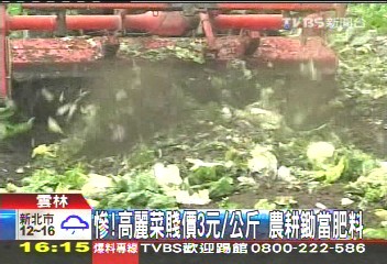 慘!高麗菜賤價3元/公斤 農耕鋤當肥料