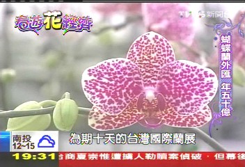 【春遊花經濟】商機不只花卉買賣！　蘭花王國待落實