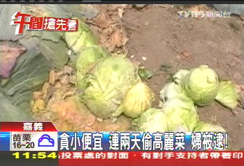 貪小便宜!連2天偷高麗菜 婦被逮