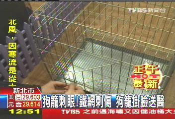 狗籠刺眼！鐵網刺傷　狗籠掛臉送醫