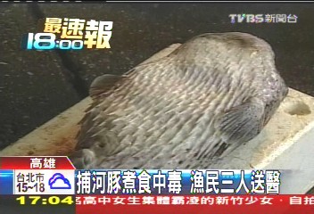 捕河豚煮食中毒　漁民3人送醫