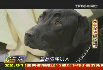 【一步一腳印】完美保鑣打造計畫　代替眼睛的導盲犬