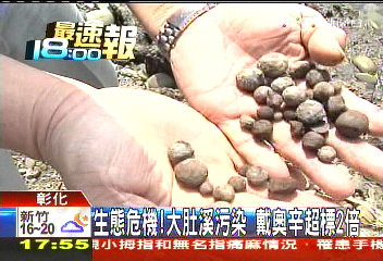 生態危機！大肚溪污染　戴奧辛超標2倍