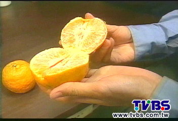 加國證實橘子川陳皮素　降血脂防中風