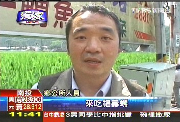 〈獨家〉搶救茭白筍 5千鯰魚放養吃福壽螺