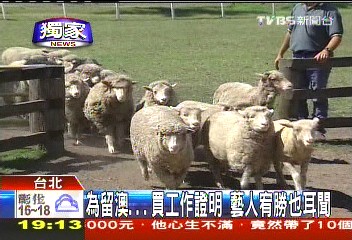 〈獨家〉為多留澳1年　買工作證明公開的秘密？