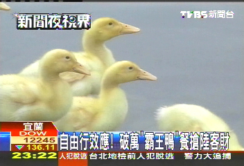 自由行效應！　破萬「霸王鴨」餐搶陸客財