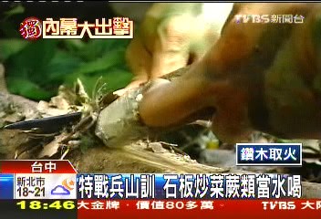 〈獨家〉特戰兵山訓 石板炒菜蕨類當水喝