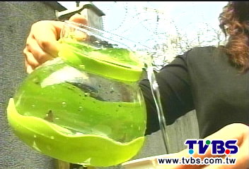 〈獨家〉透明水變乳白色　東海生諷「溫泉水」