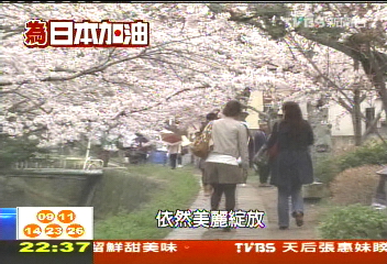 震後日本直擊!遊客卻步 京都冷清