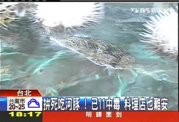 拚死吃河豚！已11中毒　料理店也難安