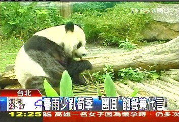 春雨少亂筍季　「團圓」飽餐兼代言！
