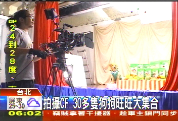 拍攝CF 30多隻狗狗旺旺大集合