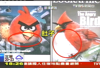 〈獨家〉「啥!真的有憤怒鳥?」 網路流傳封面照片