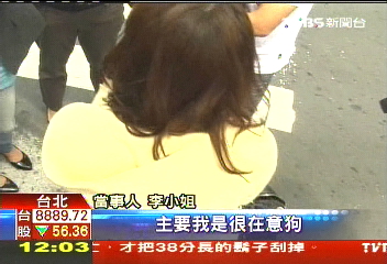 情已逝!離婚爭愛犬 夫妻對簿公堂