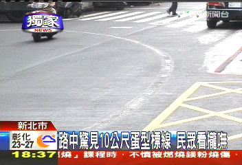 〈獨家〉路中驚見10公尺蛋型標線 民眾看攏嘸