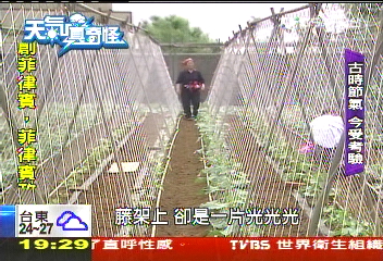 【天氣真奇怪】傳統節氣今失靈? 碰上怪天真沒輒