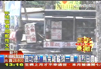 做功德？鳥兔雞龜擠一車　頂烈日賣