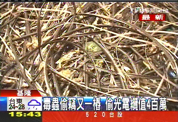 毒蟲偷竊又一樁　偷光電纜值400萬