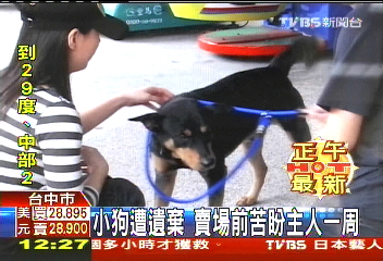 小狗遭遺棄 賣場前苦盼主人一週