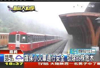 確保小火車通行安全　砍除89株危木