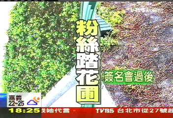 〈獨家〉SJM粉絲踩爛花圃　主辦單位遭求償