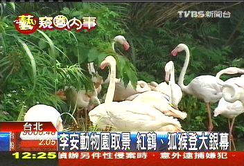 李安動物園取景　紅鶴、狐猴登大銀幕