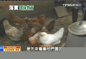 上課養雞養蚯蚓 美學童認識環保