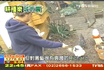 【環境綠教育】市中心耕田種菜 城市農夫正流行