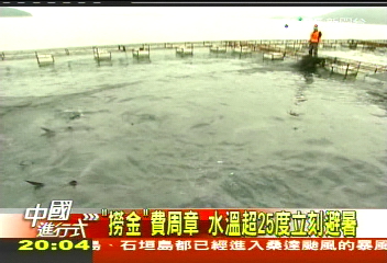 【中國進行式】划進「黑金」基地 神秘中製魚子醬
