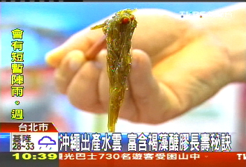 沖繩出產水雲　富含褐藻醣膠長壽秘訣